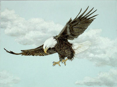 400x297 Original Pastel Drawing American Bald Eagle Flying Sally Porter - American Eagle Drawing