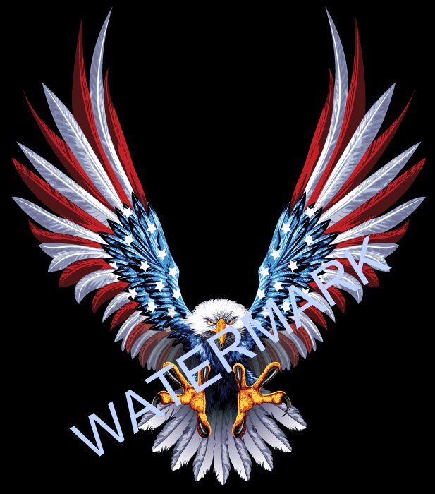 617x700 I Could Be An Illustrator Or Whatever American Eagle - American Eagle Drawing