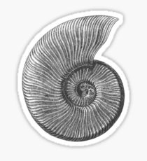 210x230 ammonite drawing stickers redbubble - Ammonite Drawing