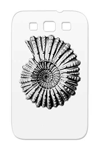 349x500 ocean shell fossil spiral sea painting drawing nautical art - Ammonite Drawing