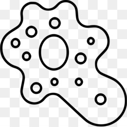 260x260 diadectes fan art drawing reptile - Amoeba Drawing