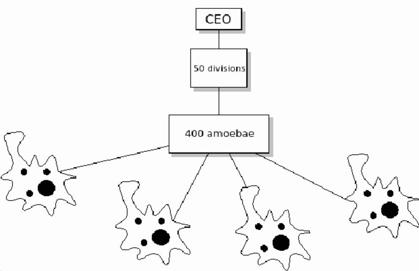 850x550 amoeba diagram unique collection of amoeba microscope drawing - Amoeba Drawing
