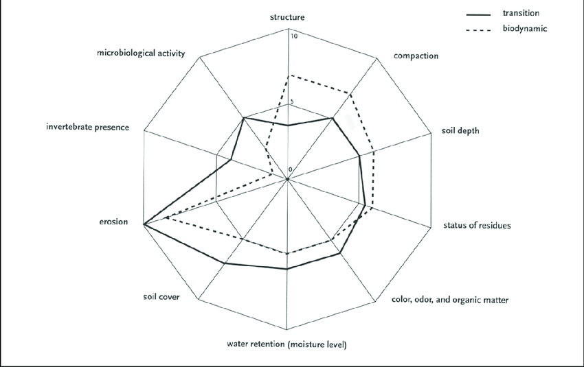 850x535 amoeba diagram representing the soil quality status of two - Amoeba Drawing
