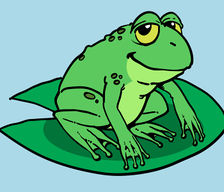 224x192 Drawing Amphibians - Amphibians Drawing