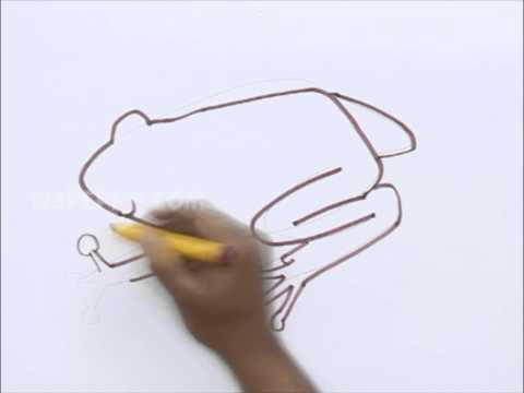 480x360 How To Draw An Amphibian - Amphibians Drawing