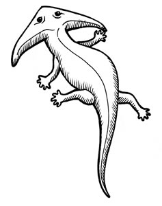 237x300 Land Plants Amphibians - Amphibians Drawing