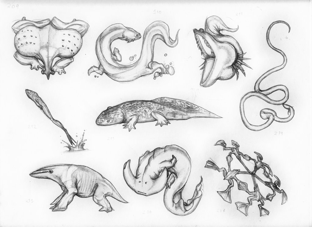 1024x745 Pictures Of Amphibians Drawings - Amphibians Drawing