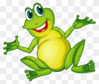 320x272 Amphibians Drawing Glass Frog Image Freeuse - Amphibians Drawing