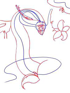 228x302 How To Draw A Anaconda How To Draw An Anaconda Snake Step How - Anaconda Drawing