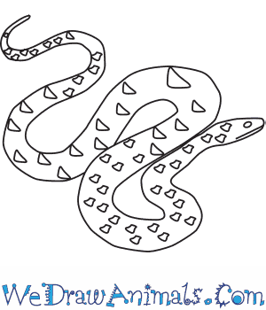 300x350 How To Draw A Green Anaconda - Anaconda Drawing