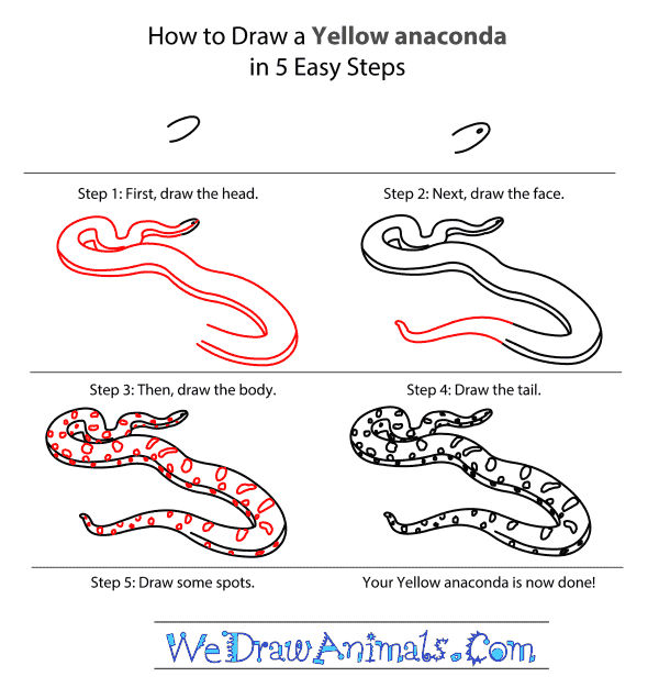 600x636 How To Draw A Yellow Anaconda - Anaconda Drawing