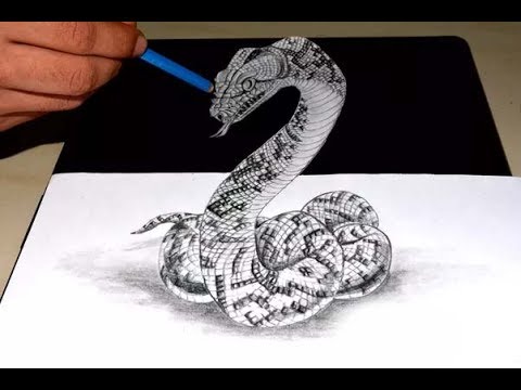 480x360 Shrishti Arts Forest's Anaconda Pencil Sketch Art - Anaconda Drawing