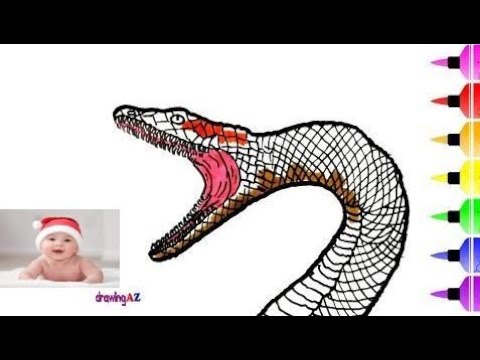 480x360 Anaconda Drawing And Coloring Pages For Kids - Anaconda Drawing