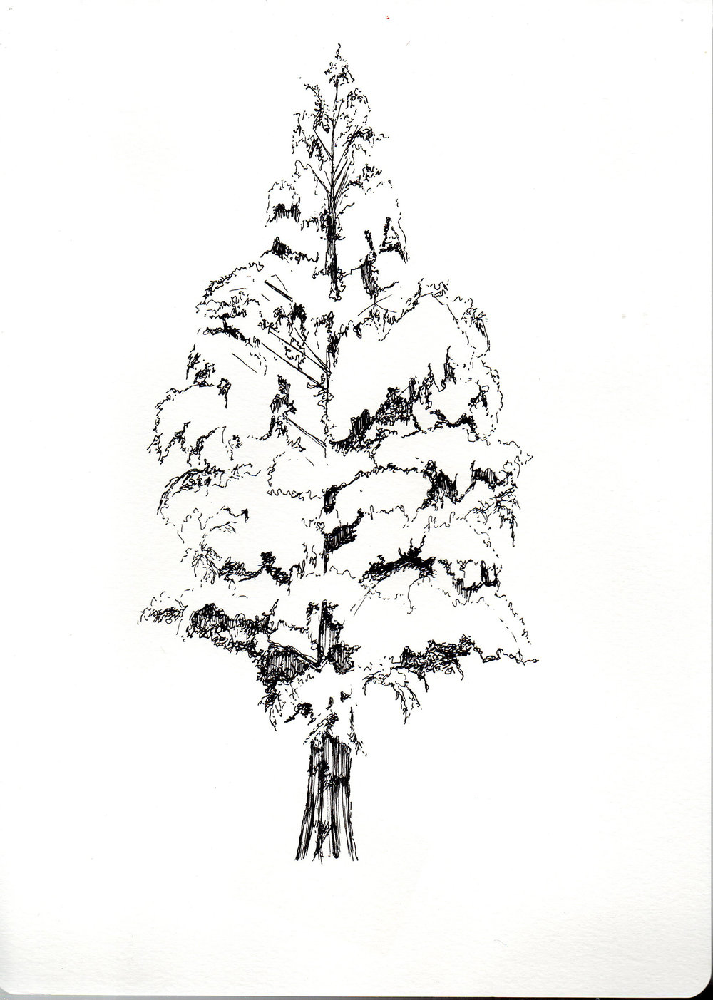 1000x1403 Analog Drawings Gabriella Solange - Analog Drawing