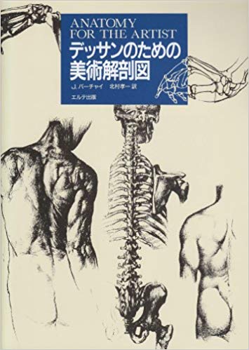 355x499 Art Anatomical Drawings For Drawing - Anatomical Drawings