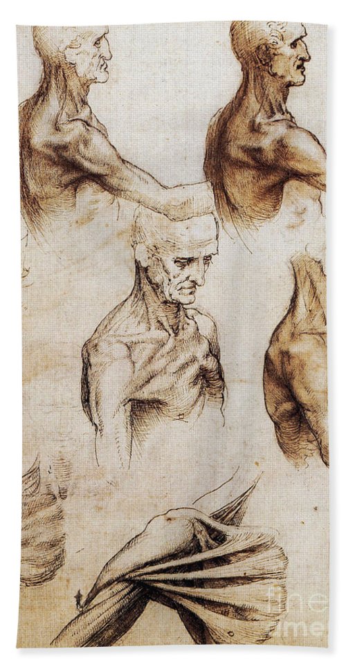 500x967 Da Vinci Anatomical Drawings Beach Sheet For Sale - Anatomical Drawings