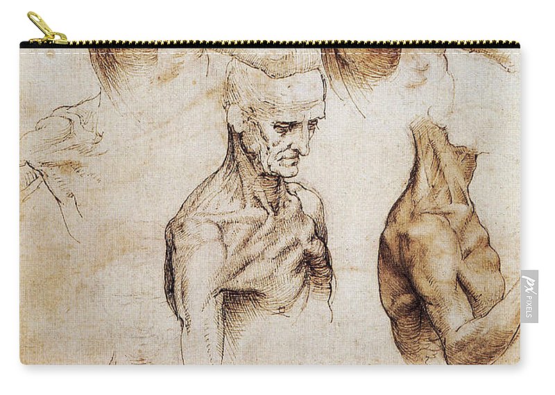800x570 Da Vinci Anatomical Drawings Carry All Pouch For Sale - Anatomical Drawings