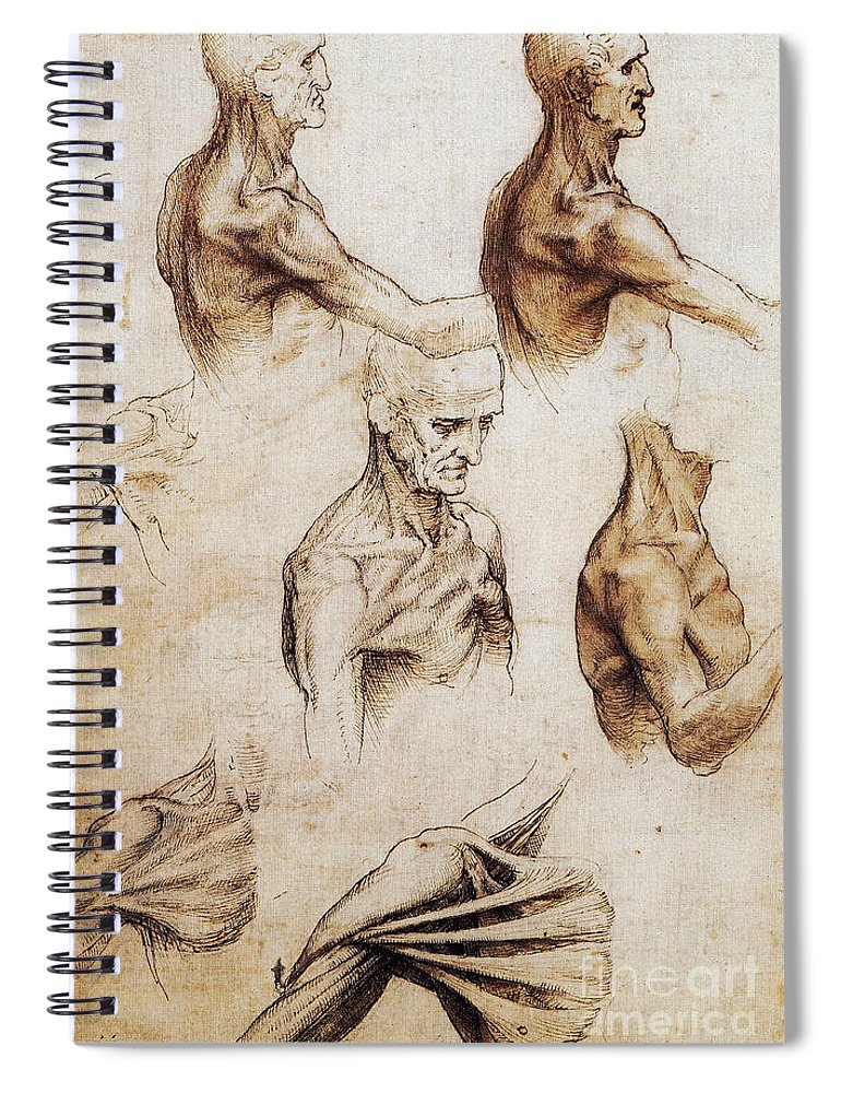 770x1000 Da Vinci Anatomical Drawings Spiral Notebook For Sale - Anatomical Drawings