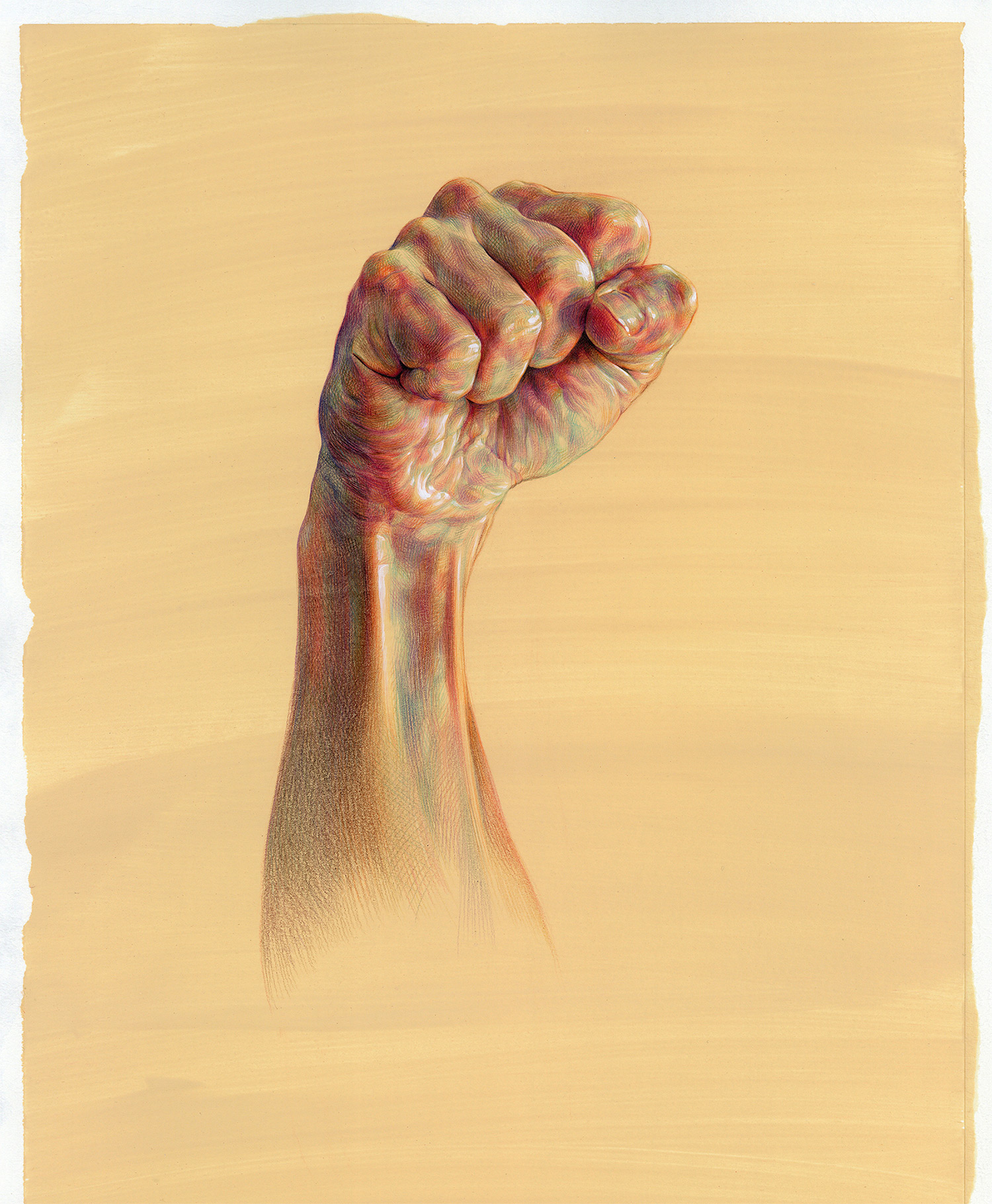 1500x1820 Dramatic Anatomical Drawings Comprised Of Complex Hatched Colors - Anatomical Drawings