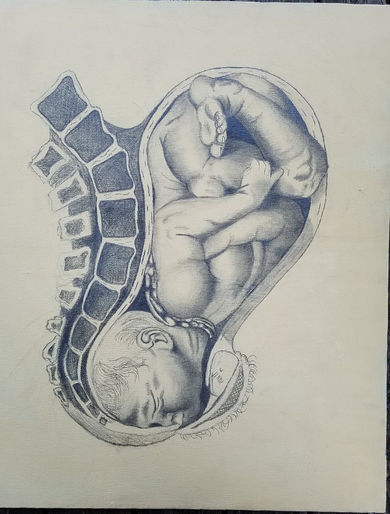 794x1047 Anatomical Drawings Etsy - Anatomical Drawings