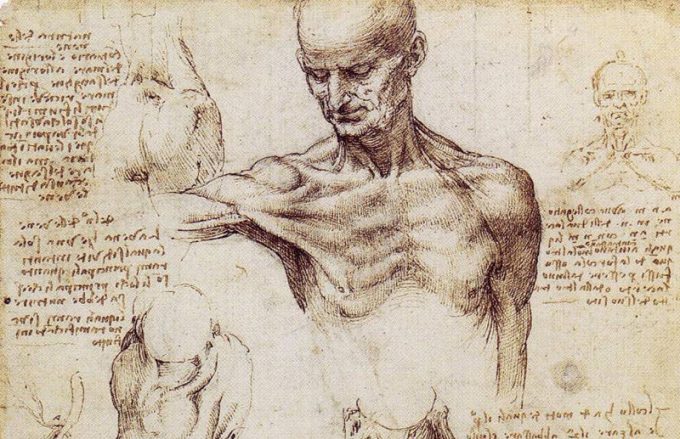 680x439 Anatomical Drawings Da Vinci Great But Not Infallible - Anatomical Drawings