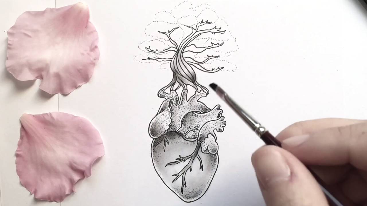 1280x720 Anatomical Heart Dotwork Time Lapse Drawing - Anatomical Heart Drawing