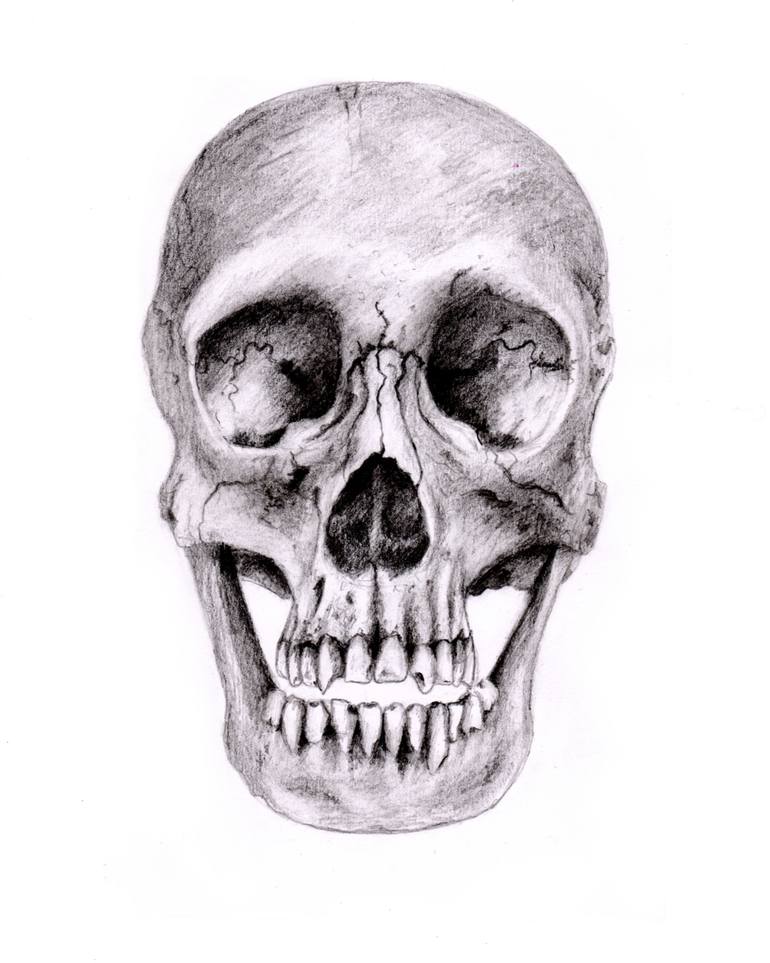 770x963 Anatomical Skull Drawing - Anatomical Skull Drawing