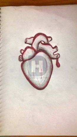261x464 Anatomically Correct Heart Drawing - Anatomically Correct Heart Drawing