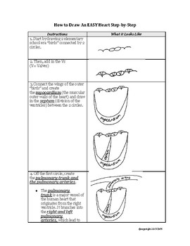 270x350 How To Draw An Anatomically Correct Heart The Easy Way!step - Anatomically Correct Heart Drawing