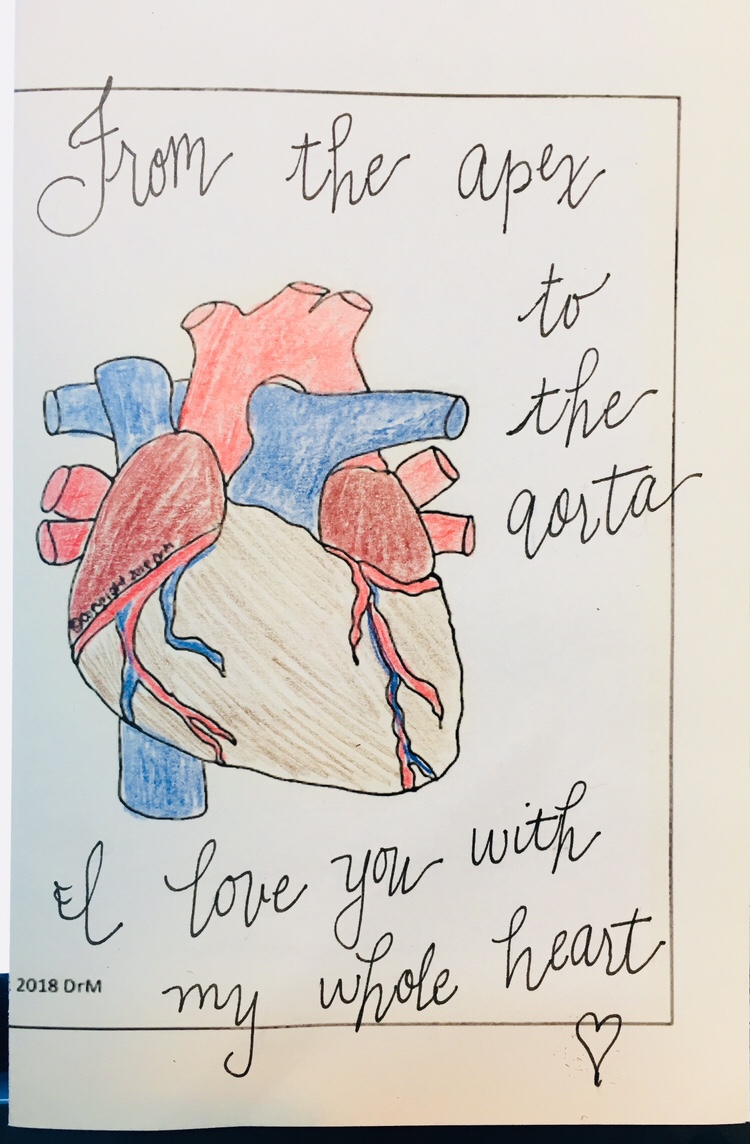 750x1144 Need A Cute Activity For Valentine's Day Create - Anatomically Correct Heart Drawing