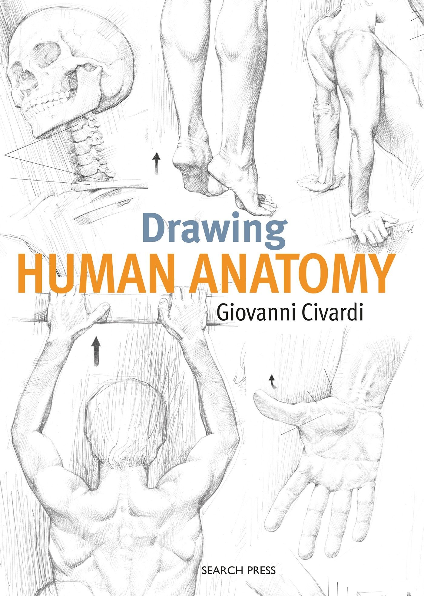 1400x1970 drawing human anatomy giovanni civardi - Anatomy Drawing