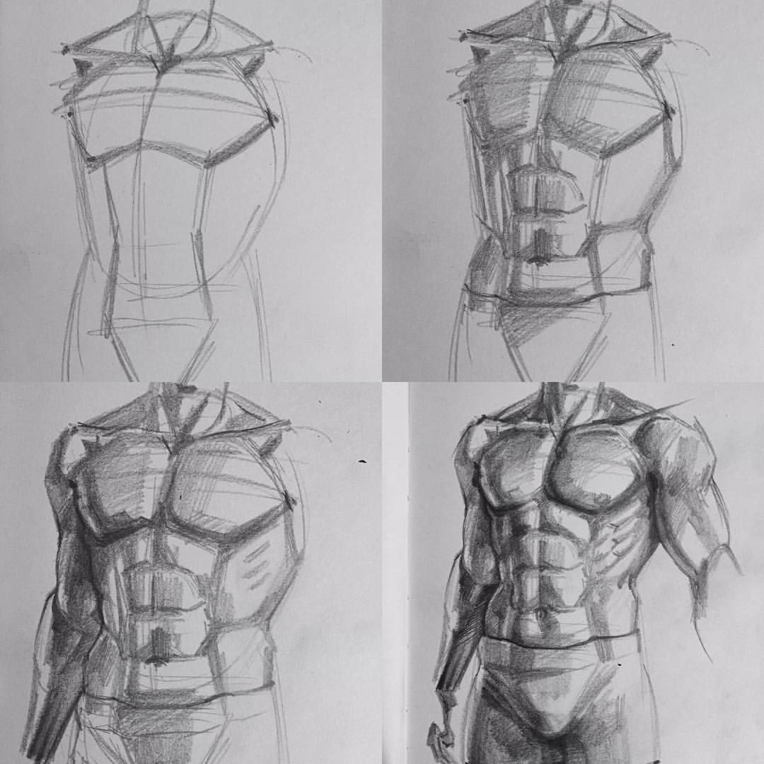 1080x1080 anatomy reference drawings, art, anatomy sketches - Anatomy Drawing