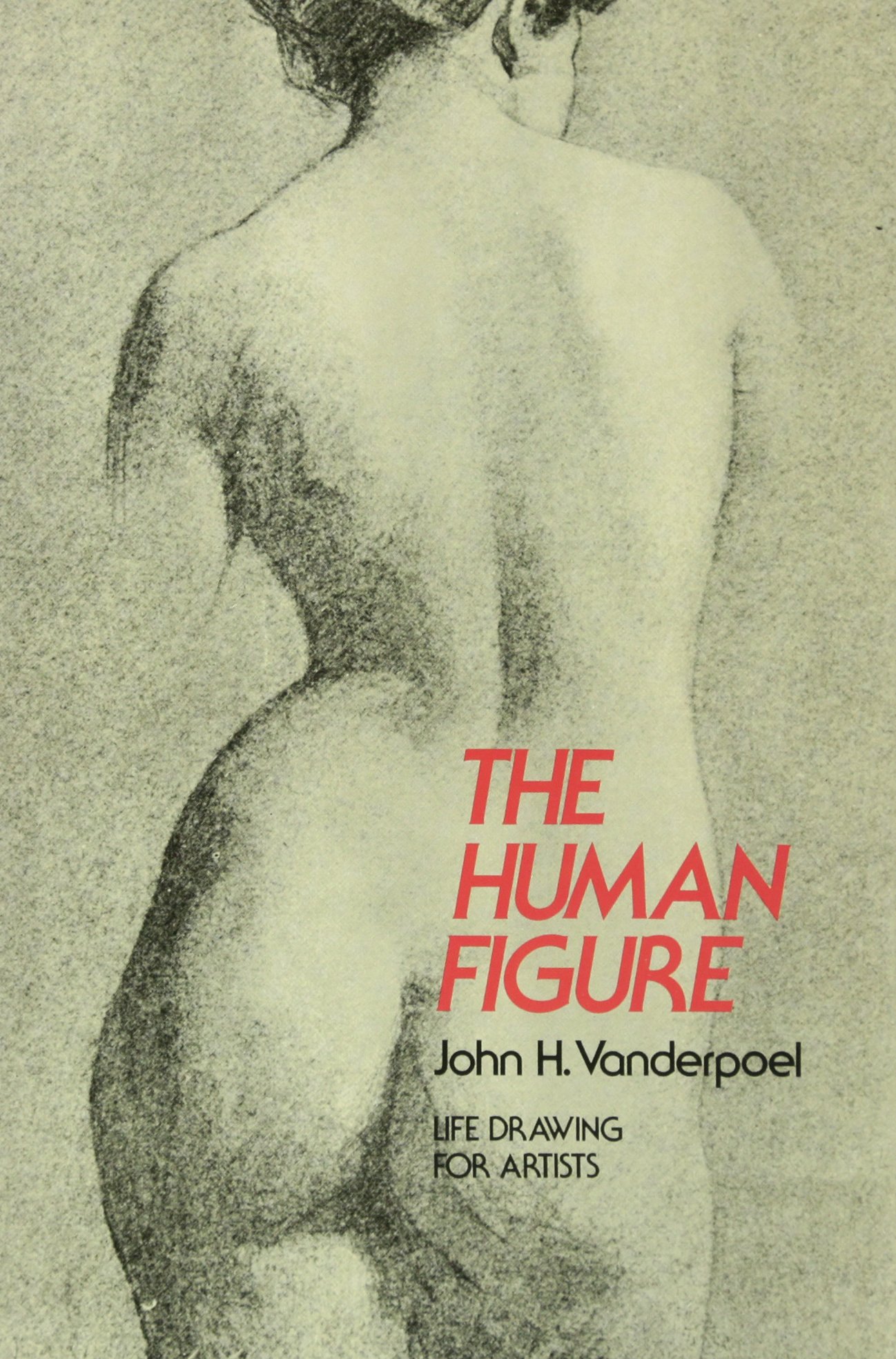 1298x1970 The Human Figure - Anatomy Drawing