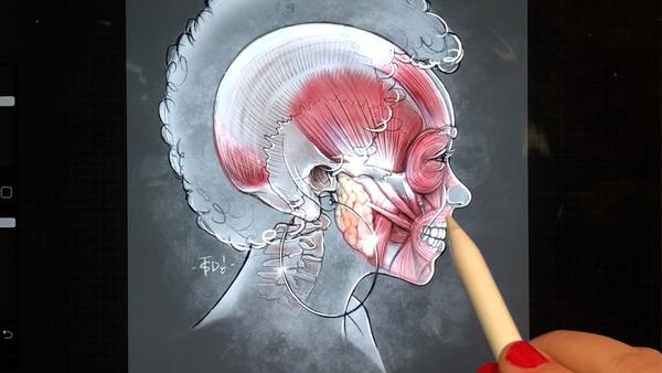 600x338 drawing anatomy with tiffany s davanzo sktchy - Anatomy Drawing