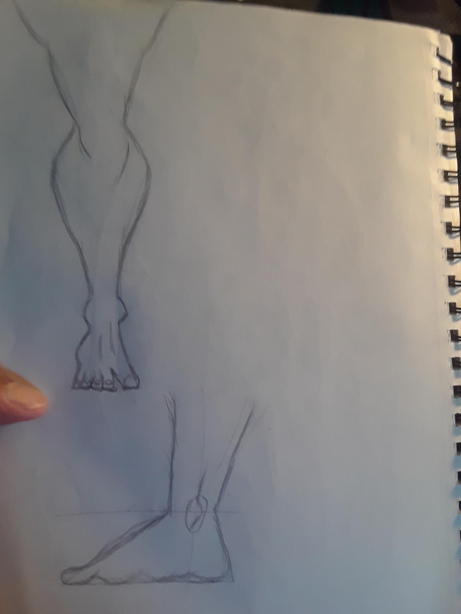 1932x2576 Anatomy Drawing Practice - Anatomy Drawing Practice