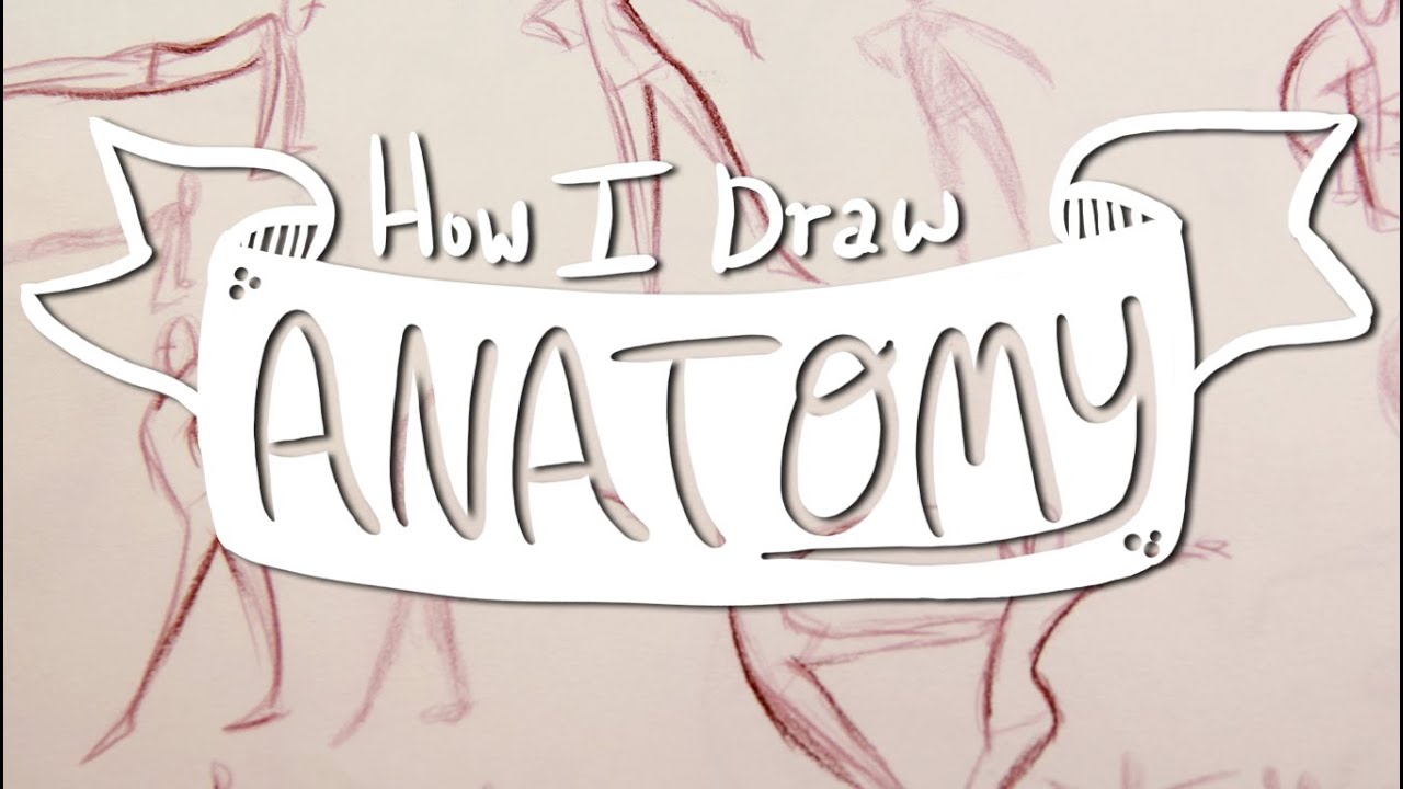 1280x720 How I Draw Anatomy - Anatomy Drawing Practice