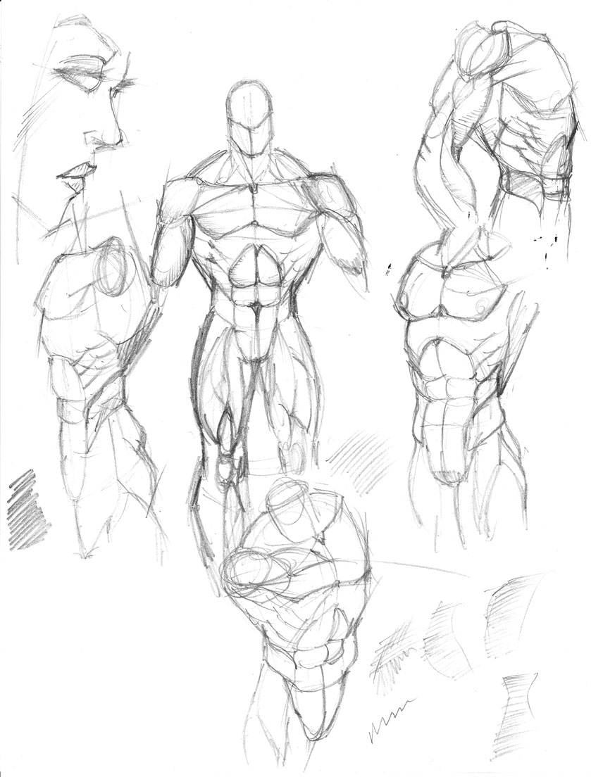 839x1104 Human Anatomy Drawing Practice - Anatomy Drawing Practice