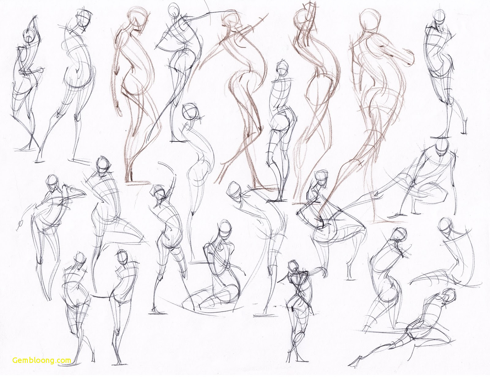 Anatomy Drawing Practice at PaintingValley.com | Explore collection of