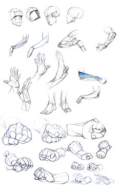 236x374 Best Anatomy Practice Images In Drawing Reference - Anatomy Drawing Practice