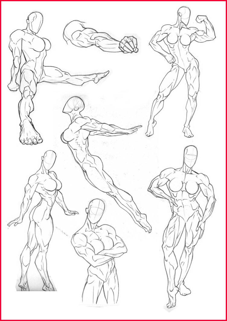 752x1063 anatomy drawing practice body anatomy drawing anatomy - Anatomy Drawing Practice