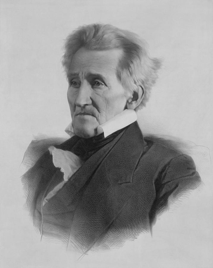 Andrew Jackson Drawing at Explore collection of