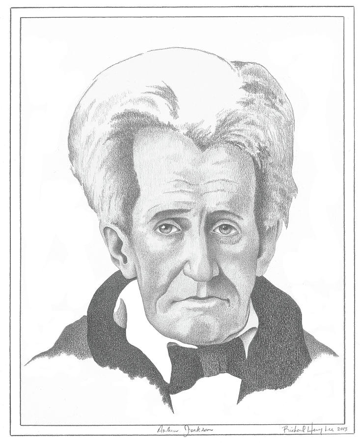 733x900 andrew jackson drawing - Andrew Jackson Drawing