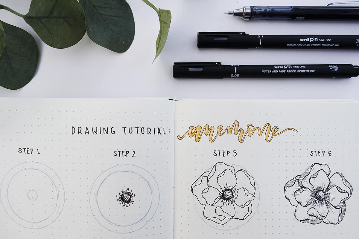 1200x800 Flower Drawing Tutorial How To Draw An Anemone Flower - Anemone Drawing