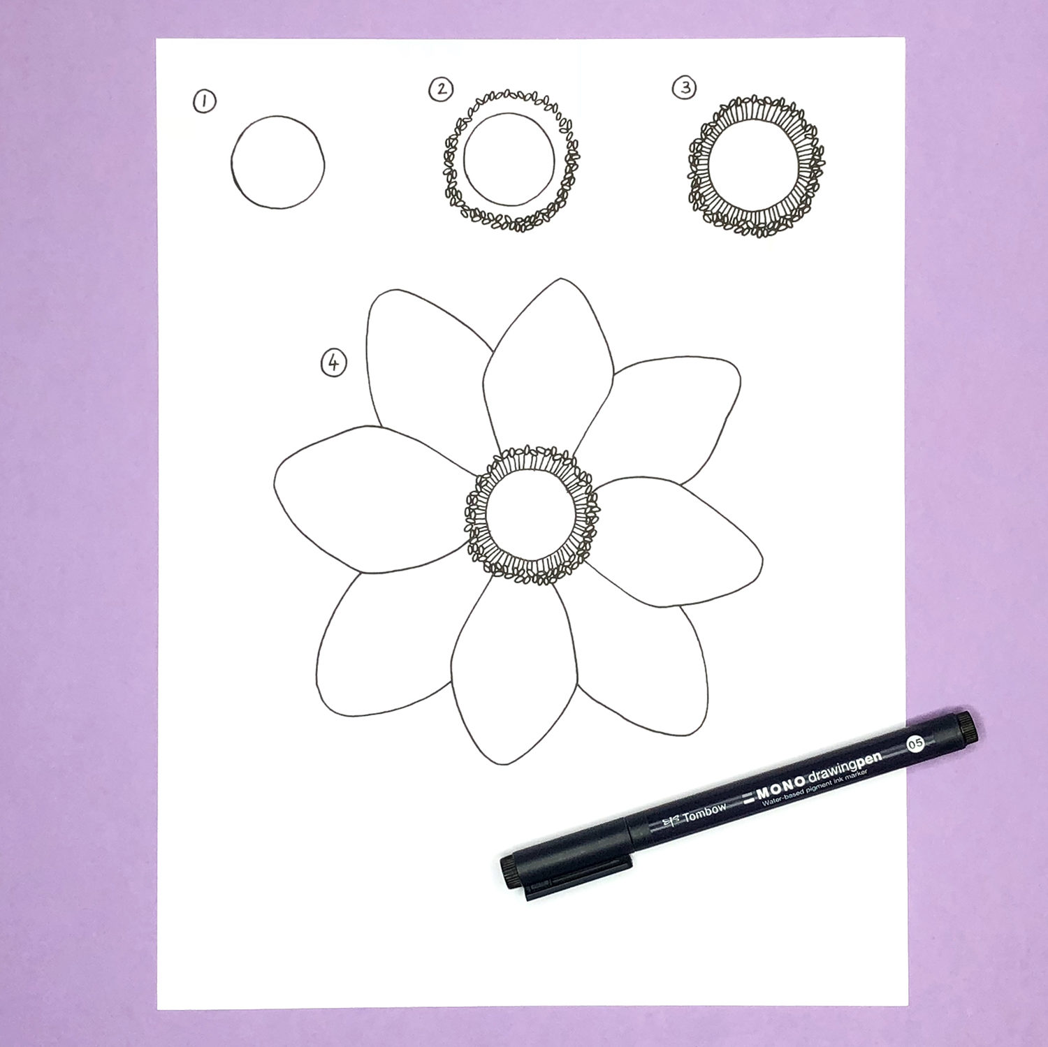 1500x1499 How To Draw An Anemone Flower - Anemone Drawing