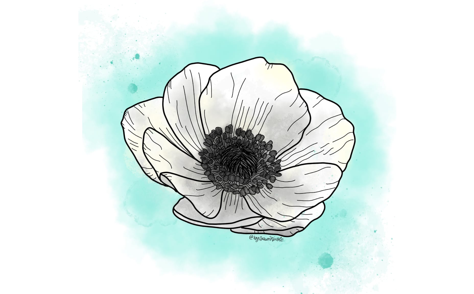 1856x1151 White Anemone Flower Print + Tech Pretties Dawn Nicole - Anemone Drawing