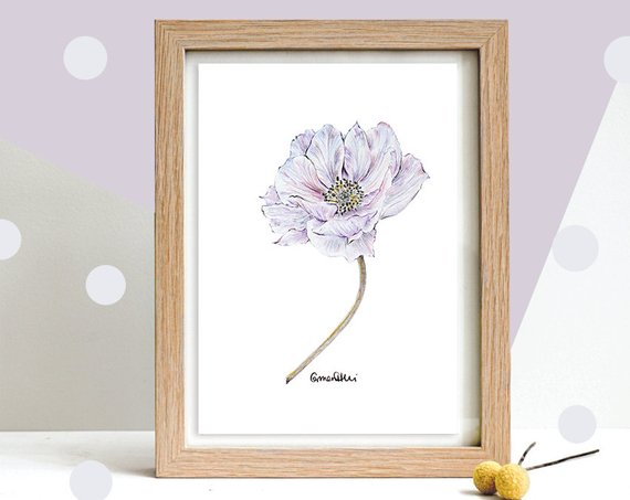 570x453 botanical art drawing of an anemone flower in purple etsy - Anemone Flower Drawing