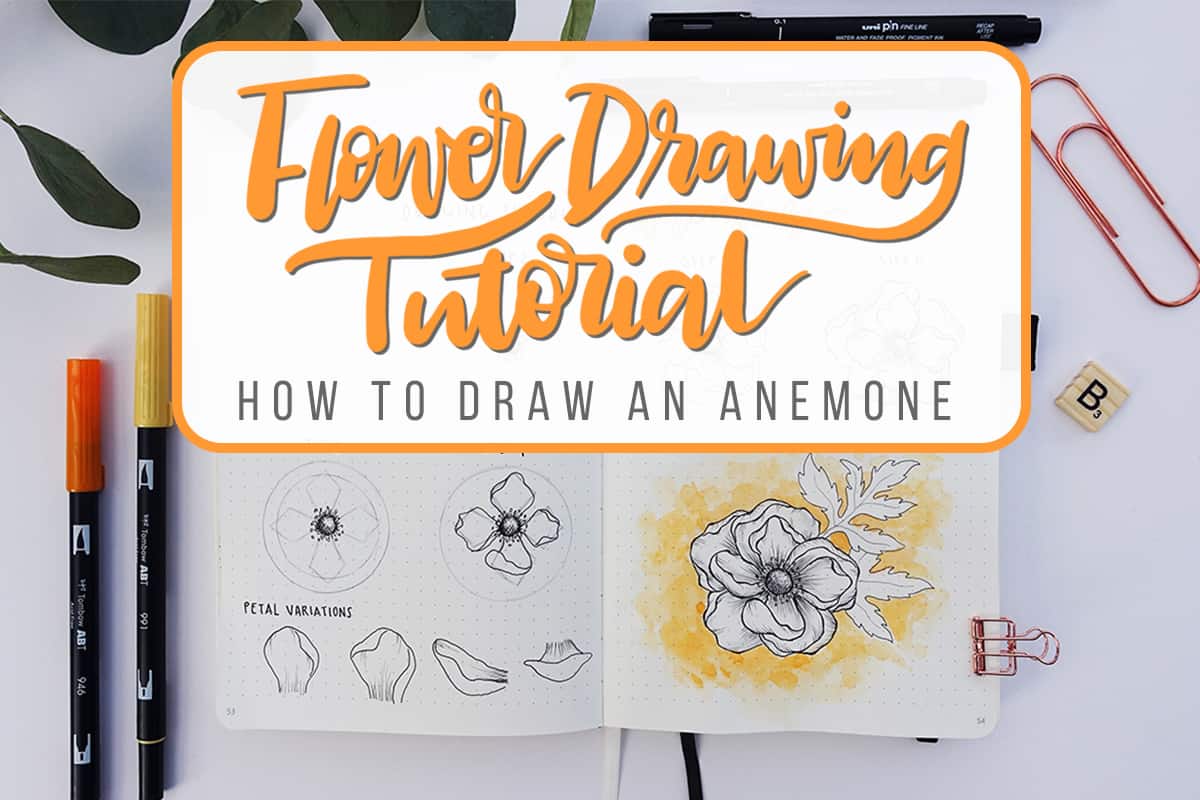 1200x800 flower drawing tutorial how to draw an anemone flower - Anemone Flower Drawing