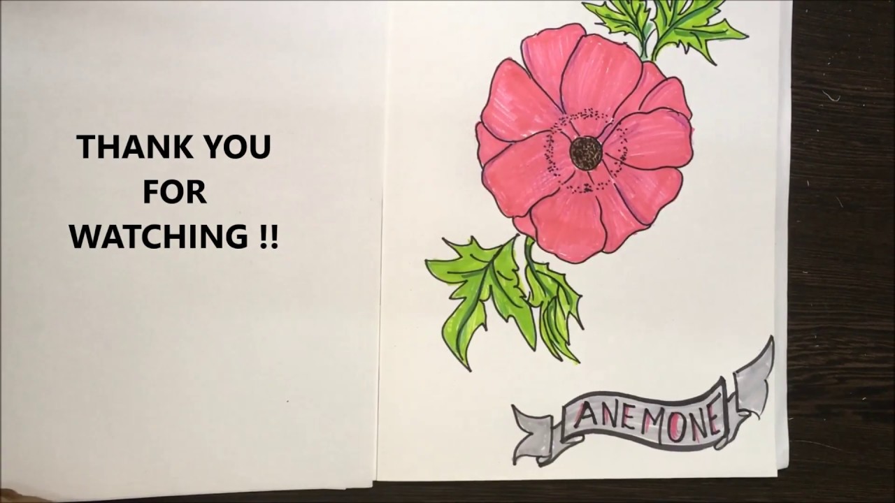 1280x720 anemone - Anemone Flower Drawing