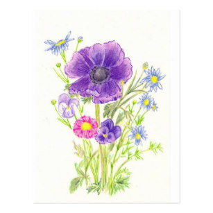 307x307 anemone flower drawing gifts on zazzle - Anemone Flower Drawing