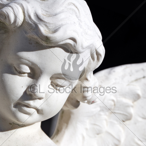 500x500 Angel Face Gl Stock Images - Angel Face Drawing